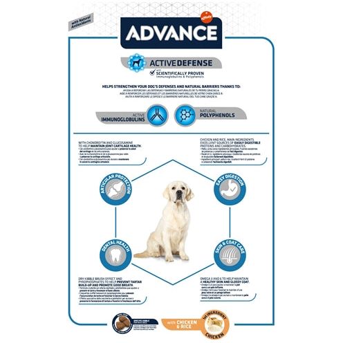 Advance Maxi Adult