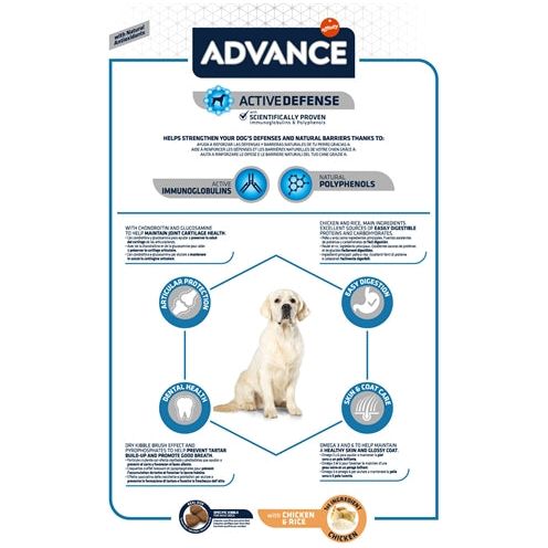 Advance Maxi Adult
