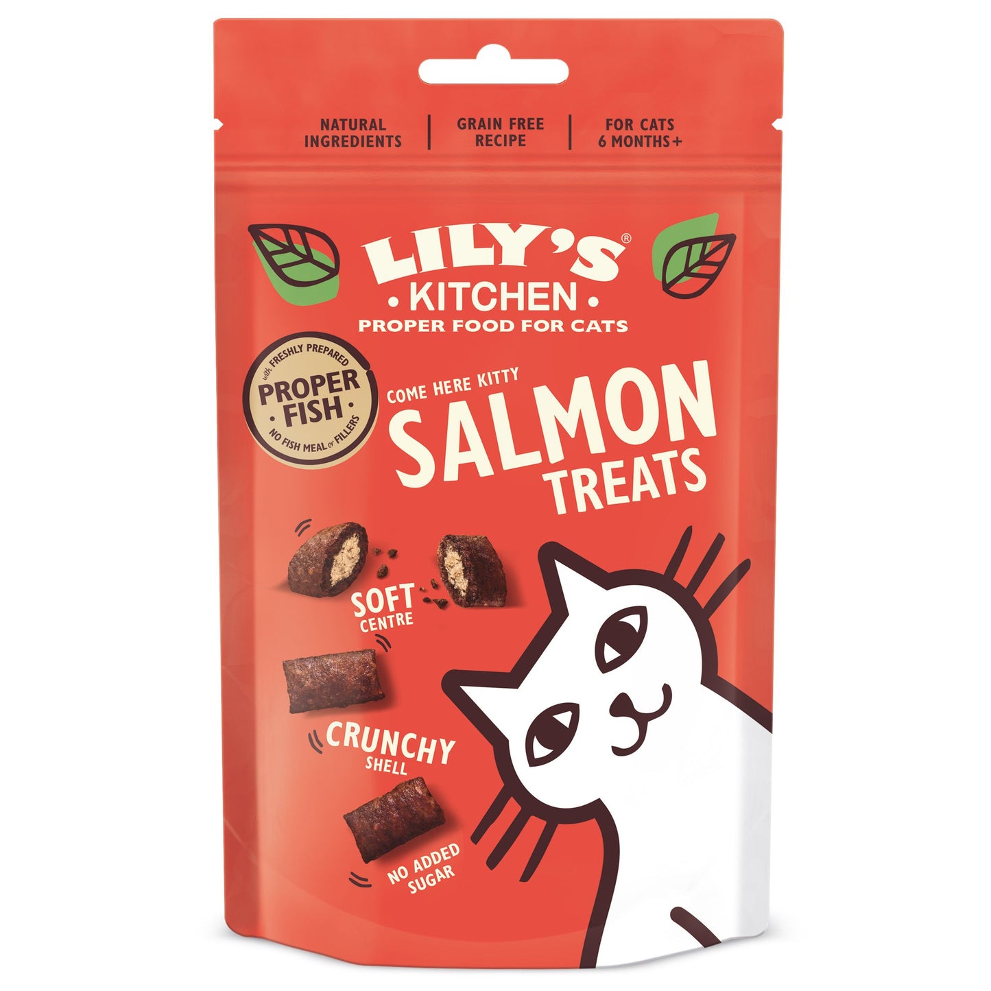 Lily's Kitchen Salmon Treats