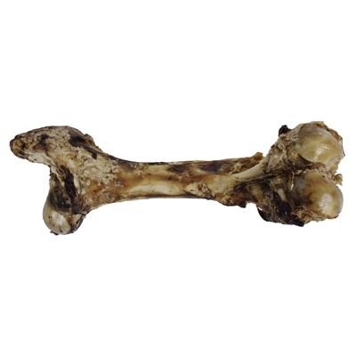 Petsnack Dinobot Xxl