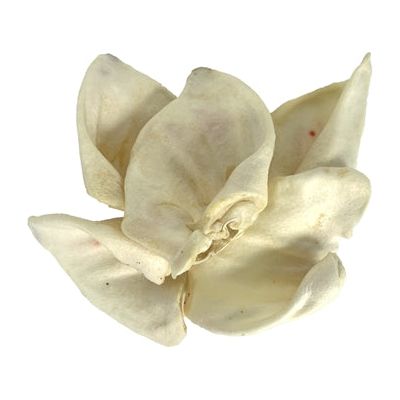 Petsnack Varkensoren Gepoft