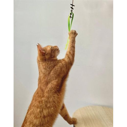 Martin Kattenspeelgoed Jason Gerecycled Assorti