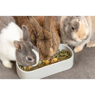 Trixie Voerbak / Drinkbak Ovaal Keramiek Assorti