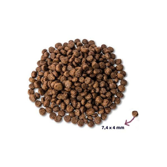 Renske Super Premium Puppy Kip / Lam