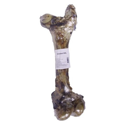 Petsnack Dinobot Xxl