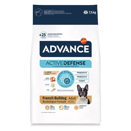 Advance Adult French Bulldog