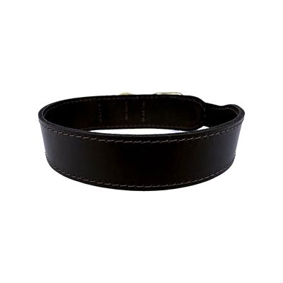 Sazzz Halsband Hond Pioneer Classic Leer Donkerbruin