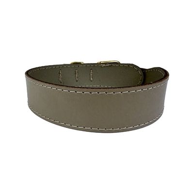 Sazzz Halsband Hond Pioneer Classic Leer Taupe