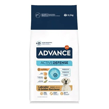 Advance Adult Labrador Retriever