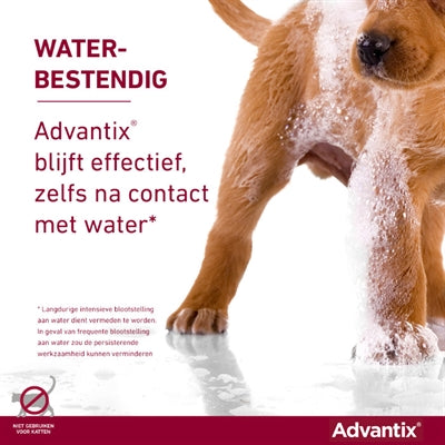 Elanco Advantix Spot On